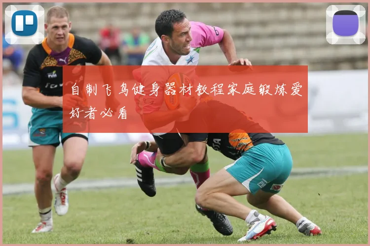 自制飞鸟健身器材教程家庭锻炼爱好者必看
