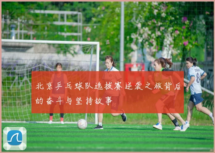 北京乒乓球队选拔赛逆袭之旅背后的奋斗与坚持故事