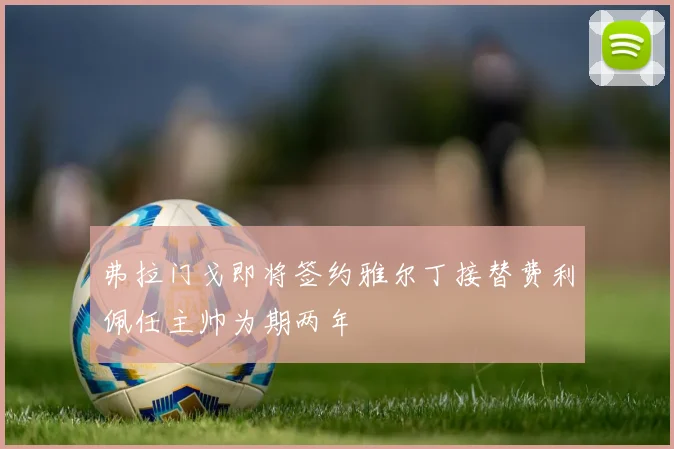 弗拉门戈即将签约雅尔丁接替费利佩任主帅为期两年