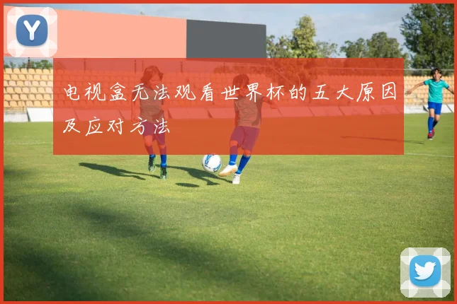 电视盒无法观看世界杯的五大原因及应对方法